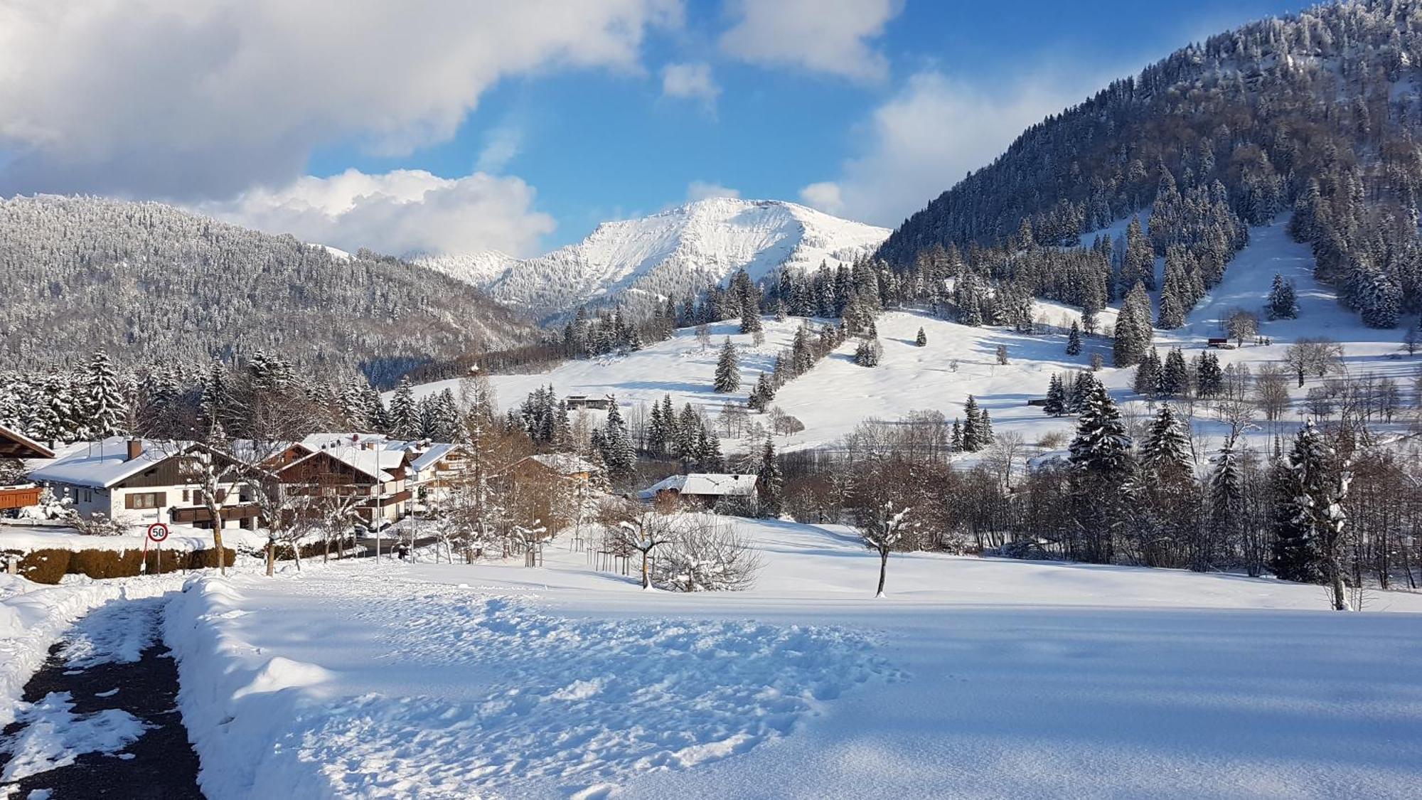 Exklusive Fewo Allgaeustern Steibis Mit Wlan Sauna Kamin Und Oberstaufen Plus Card Exterior foto