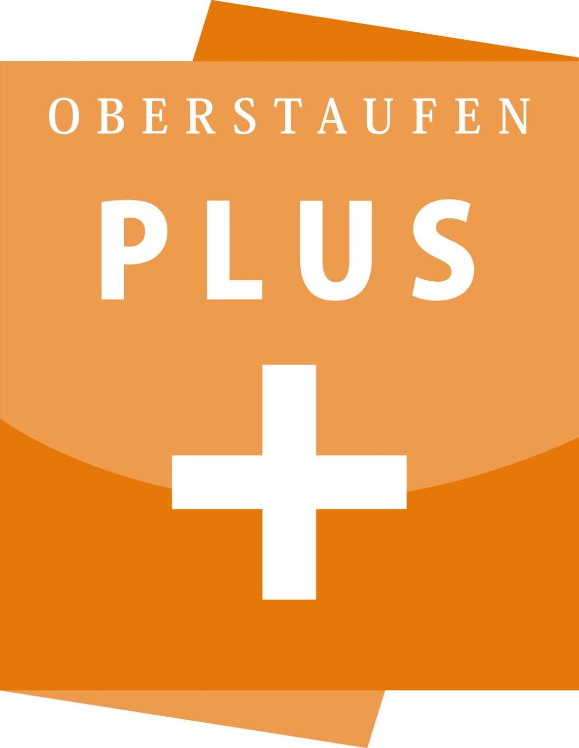 Exklusive Fewo Allgaeustern Steibis Mit Wlan Sauna Kamin Und Oberstaufen Plus Card Exterior foto